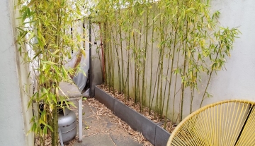 WhatsApp Image 2025-12-09 at 19.47.21 1.jpeg